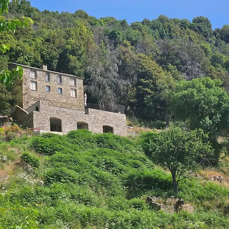 Authentic Corsican House, Pool & Panorama Bergerie Pied'u Celu